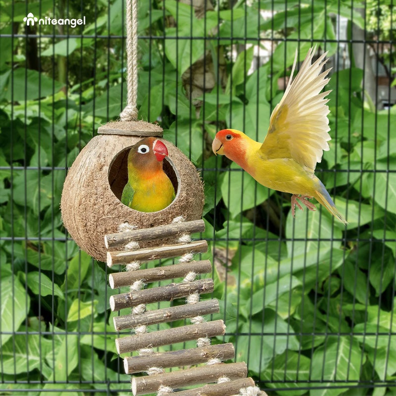 Niteangel Natural Coconut Hideaway with Ladder, Bird and Small Animal Toy (House with Ladder, Natural Surface) - Image 3